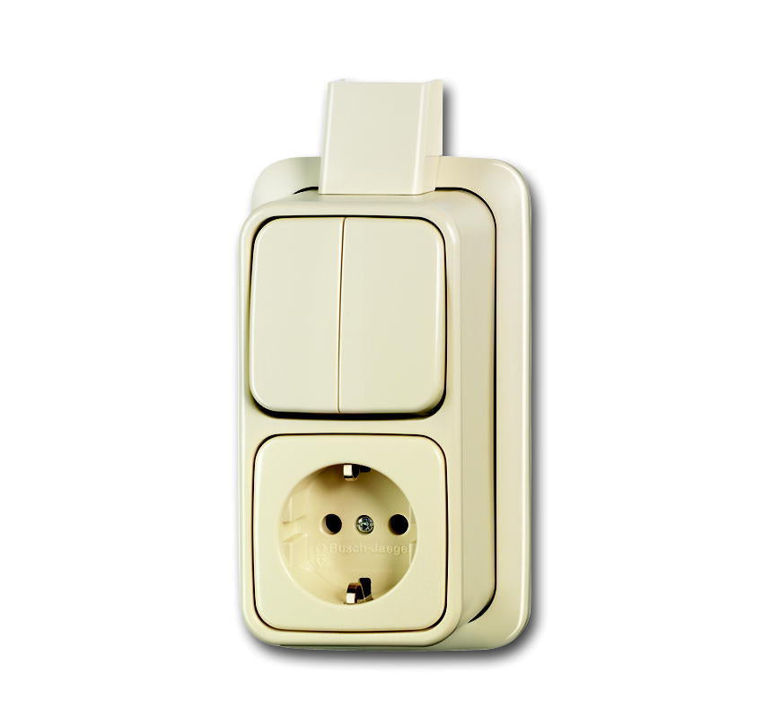 ABB Busch-Jaeger Combinatieschakelaar Contactdoos Met Montageplaat - 2