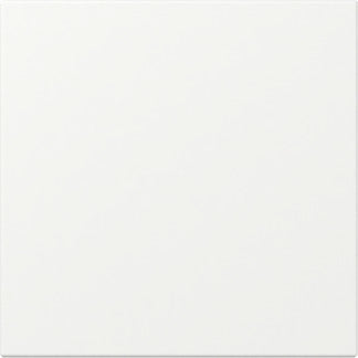 Gira tastschakelaar universeeluitwissel 10A 250V zonder bevestigingsklauwen (383600
