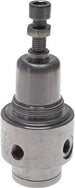 RVS Drukregelaars, 1/4 - 3/8 Inch, 700 L/min