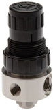 Hoofdafbeelding van de collectie - Stainless Steel Pressure Regulators, 1/4 Inch, 350 L/min