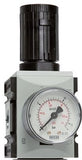 Hoofdafbeelding van de collectie - Futura Series Of Knocks Compressed Air Pressure Regulators
