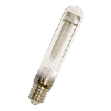 Hoofdafbeelding van de collectie - High Pressure Sodium-Vapour Lamps