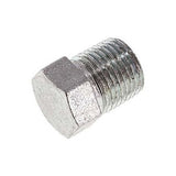Hoofdafbeelding van de collectie - NPT End Cap And Plug Fittings