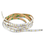 Lichtlinten En Strips
