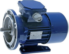 AC Electric Motors