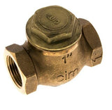 Hoofdafbeelding van de collectie - Rood Brons Heavy Duty Lift Terugslagkleppen PN20