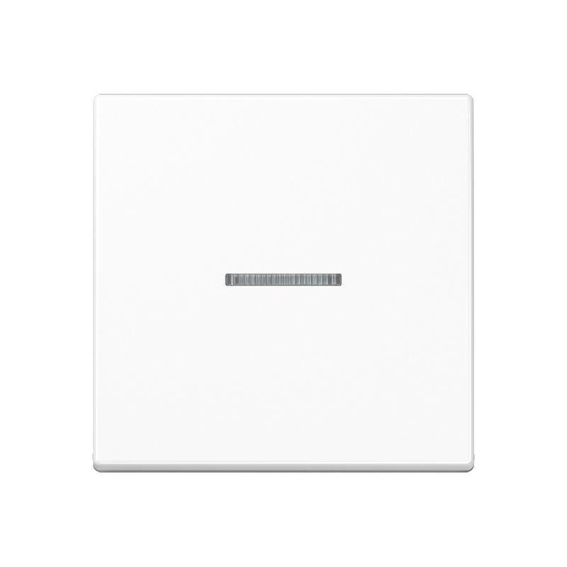 Jung AS RANGE Intelligent Control Element - FMAS1700WW
