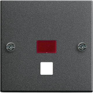 Gira System 55 Control Element/Central Plate Switchgear - 063828