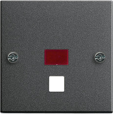 Gira System 55 Control Element/Central Plate Switchgear - 063828