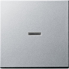 Gira System 55 Control Element/Central Plate Switchgear - 029026