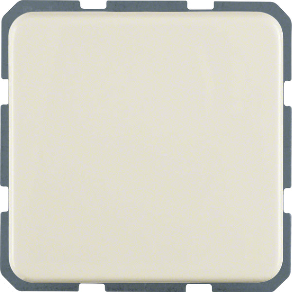 Hager Berker Wall Outlet Box (WCD Switchgear) - 4715