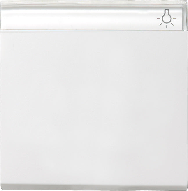 Gira System 55 Control Element/Central Plate Switchgear - 029903