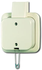ABB Busch-Jaeger Surface-Mounted Standard Installation Switch - 2CKA001343A0145