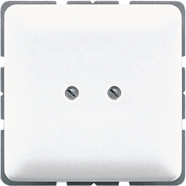 Jung CD500 Control Element/Central Plate Switchgear - CD561BWW