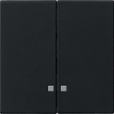 Gira System 55 Control Element/Central Plate Switchgear - 0631005