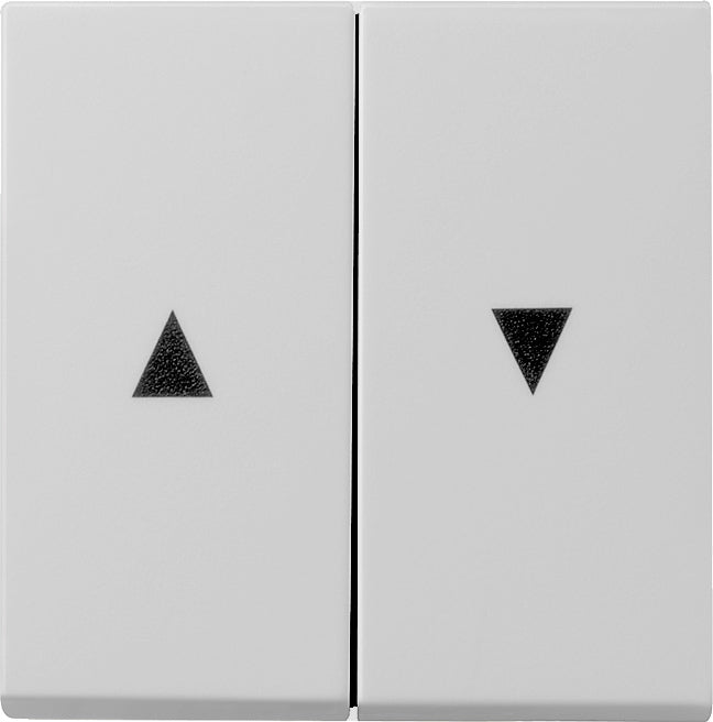 Gira System 55 Control Element/Central Plate Switchgear - 0294015