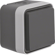 Hager Berker W.1 Wall Outlet (WCD Switchgear) - 47403515