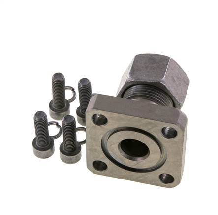 LK 55 Pump Flange Steel with 20S (M30x2)