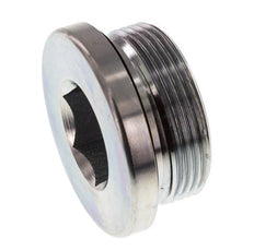 Plug M42 X 2 Steel NBR with Internal Hex 250bar (3512.5psi)
