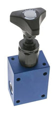 G1/4'' hydraulisch inline overdrukventiel 1-100bar 50l/min - Rexroth