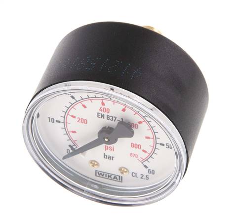 0..60 Bar (0..870 psi) Pressure Gauge Rear Plastic/Brass 50 mm Class 2.5
