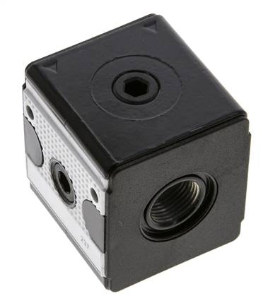 Verdeler G3/8 700 l/min met terugslagklep Multifix 1