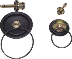 Replacement Diaphragm Pressure Regulator Manifold Multifix 0