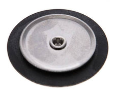 Replacement Diaphragm Gases and Liquids FKM 1/4''