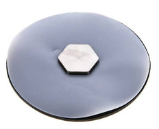 Replacement Diaphragm PTFE/NBR 1/2''