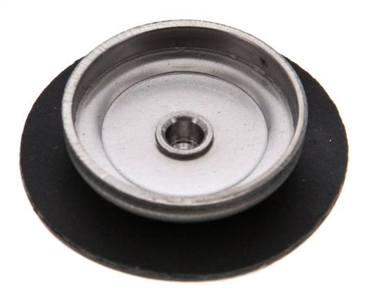 Replacement Diaphragm Gases and Liquids PTFE/NBR 1/4'' Stainless Steel