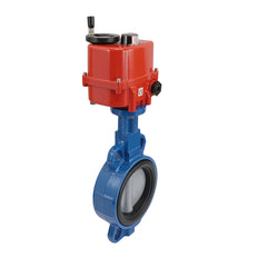 DN50 (2 inch) 24 V AC/DC Modulating Electric Cast Iron BAA Butterfly Valve Lug EPDM
