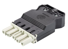 Wieland Gesis Klassieke Stekker GST18I5S - 92.953.5553.0 [50 stuks]