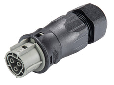 Wieland RST25I3S B1 ZR3SV BG03 Stekker - 96.031.4554.3 [100 stuks]
