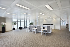 Philips Master Led T8 Buis 600mm 8W 830 Hoge Uitgang - 8719514466401