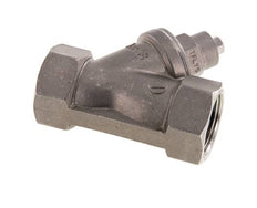 G3/4'' Y-Filter 0.25mm RVS PTFE 40bar