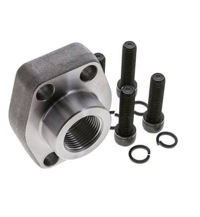 1-1/2'' SAE Flens 3000 psi Blank staal met G1'' Binnendraad ISO 6162-1