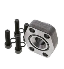 1-1/2'' SAE Flens 3000 psi Blank staal met G1'' Binnendraad ISO 6162-1