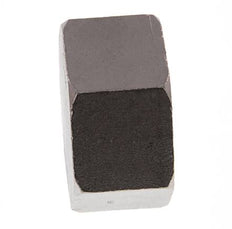 1 1/2'' NPT RVS Afsluitkap 16 Bar
