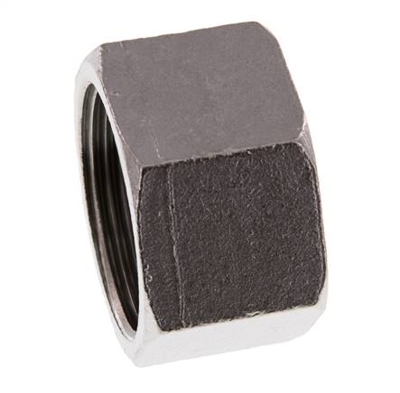 Rp 1 1/4'' RVS Afsluitkap 16 Bar