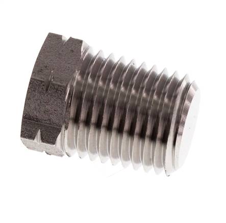 1/4'' NPT Buitendraad RVS Plug met Buitenzeskant 275 Bar