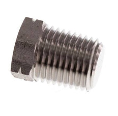 1/4'' NPT Buitendraad RVS Plug met Buitenzeskant 275 Bar