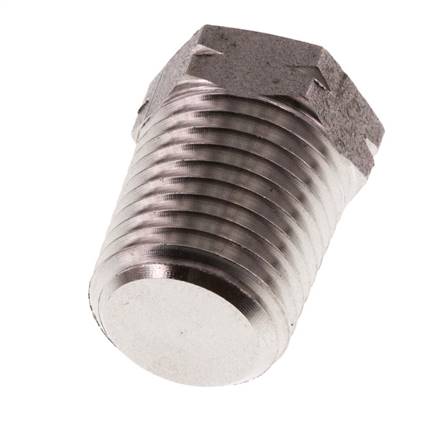 1/4'' NPT Buitendraad RVS Plug met Buitenzeskant 275 Bar