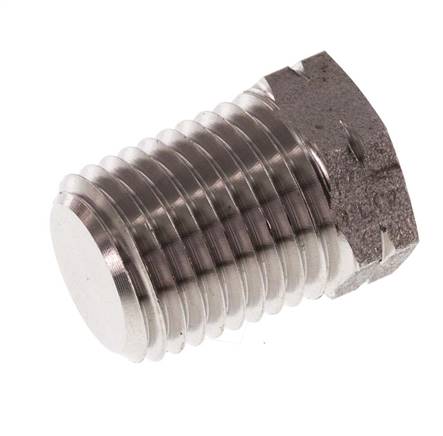 1/4'' NPT Buitendraad RVS Plug met Buitenzeskant 275 Bar
