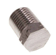 1/4'' NPT Buitendraad RVS Plug met Buitenzeskant 275 Bar