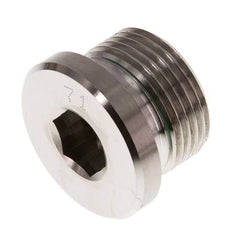 G 3/4'' Buitendraad RVS Plug met Binnenzeskant en FKM Afdichting 400 Bar