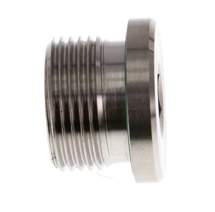G 3/4'' Buitendraad RVS Plug met Binnenzeskant en FKM Afdichting 400 Bar