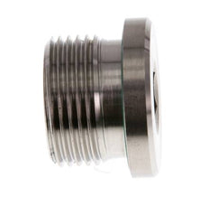 G 3/4'' Buitendraad RVS Plug met Binnenzeskant en FKM Afdichting 400 Bar