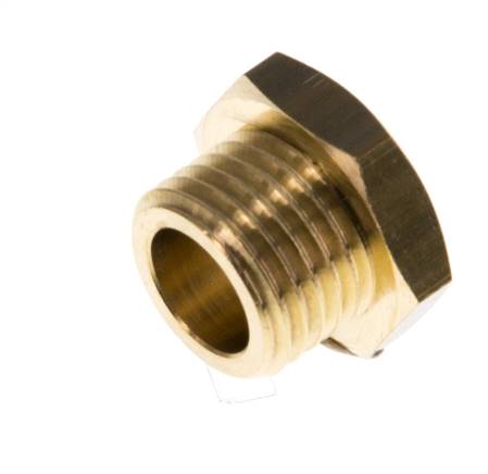 G 1/4'' Messing Plug met buitenzeskant 16 Bar [5 Stuks]