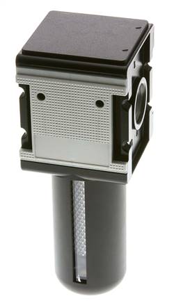 Actief koolstoffilter G1'' 3000l/min Semi-Auto Beschermende Kooi Polycarbonaat Multifix 4