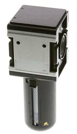 Actief koolstoffilter G1'' 3000l/min Semi-Auto Beschermende Kooi Polycarbonaat Multifix 4